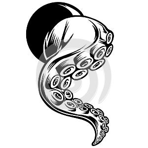 Octopus Outline Drawing Vector illustrtion