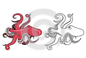 Octopus outline illustration isolated on white background