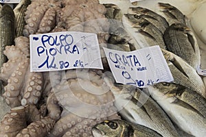 Octopus, piovra, sea bream