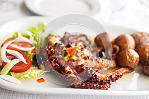 Octopus with potato and salad on dish photo
