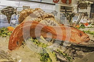Octopus and red fish photo