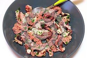 A octopus salad