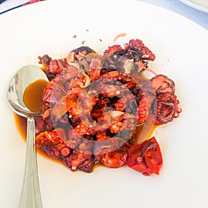 Octopus salad