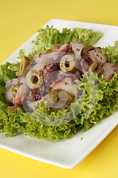 Octopus salad with olives