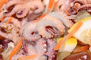 Octopus salad