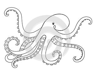 Octopus - sea animal, linear vector picture for coloring. Octopus - a picture for a coloring book on a sea or ocean theme. Outline