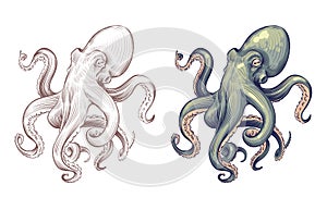 Octopus. Seafood sea animal squid with tentacles cartoon and hand drawn style. Octopuses vector set