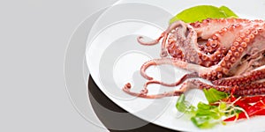 Octopus served with vegetables, sea food. Freshly boiled octopus on a white plate, Mediterranean cuisine