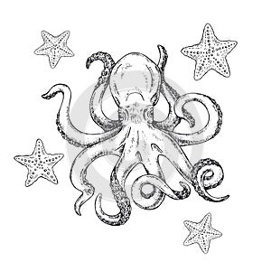 Octopus and starfish. Vector illustration of sketch octopus hand drawn, vintage. Kraken Tattoo or print for t-shirt. photo
