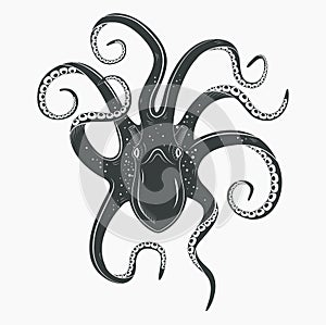 Octopus tattoo upside down, mollusk or squid photo