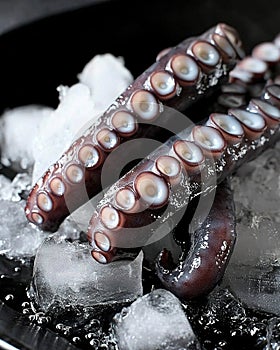 Octopus tentacle served on ice. Generative Ai