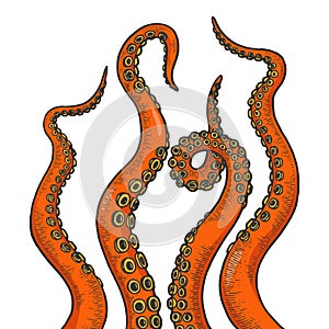 Octopus tentacle set color sketch engraving vector