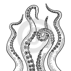 Octopus tentacle set sketch engraving vector