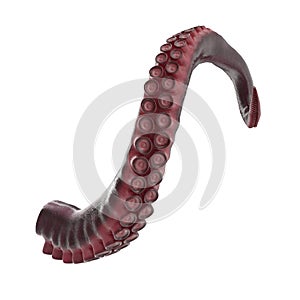 Octopus Tentacle on white. 3D illustration