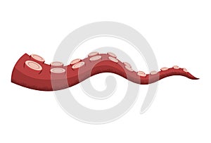 Octopus tentacle on white background. Sea squid vector cartoon icon. Spooky marine monster arm. Underwater animal