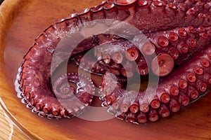 Octopus tentacles cooked in the Galician style, pulpo a feira