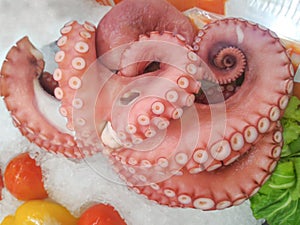 Octopus tentacles on ice are food