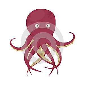 Octopus tentacles sea animal isolated on white background squid marine water seafood ocean fish illustration.