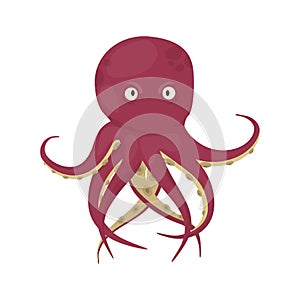 Octopus tentacles vector sea animal isolated on white background squid marine water seafood ocean fish vector illustration.