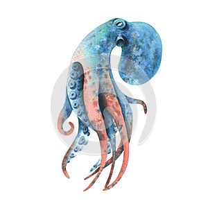 Octopus in turquoise, blue and coral colors. Hand drawn watercolor illustration. Sea animals, underwater world, seafood