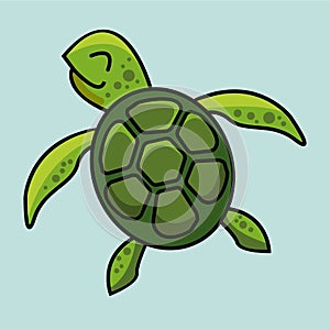Turtle doodle vector image