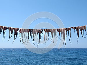 Octopuses on the String