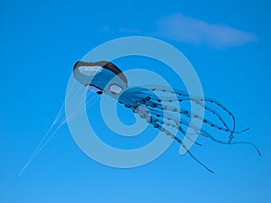 Octopussy kite