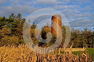Od silo, barn foundation and a corn field