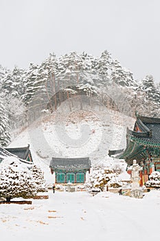 Odaesan mountain Woljeongsa temple at winter in Pyeongchang, Korea