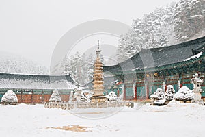 Odaesan mountain Woljeongsa temple at winter in Pyeongchang, Korea