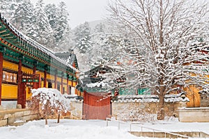 Odaesan mountain Woljeongsa temple at winter in Pyeongchang, Korea