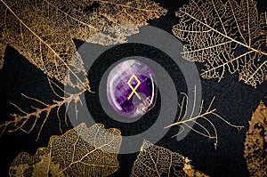 Odal rune, prediction of the day