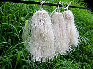 Odapoovu or bamboo flower, made of beaten bamboo,a  special offering at Kottiyoor temple Kerala