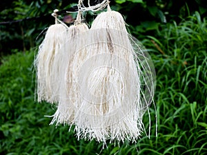 Odapoovu or bamboo flower, made of beaten bamboo,a  special offering at Kottiyoor temple Kerala