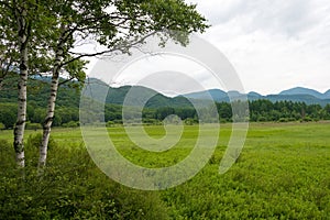 Odashirogahara marshland. Ramsar sites and Nikko National Park in Nikko, Tochigi, Japan