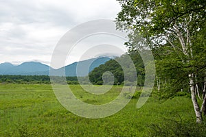 Odashirogahara marshland. Ramsar sites and Nikko National Park in Nikko, Tochigi, Japan