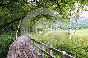 Odashirogahara marshland. Ramsar sites and Nikko National Park in Nikko, Tochigi, Japan