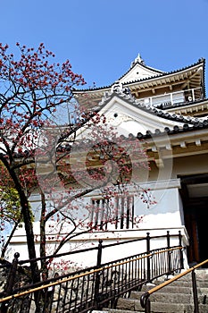Odawara Castle
