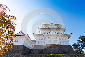 Odawara castle is a Hirayama-style japanese castle, Odawara, Japan. Copy space for text.