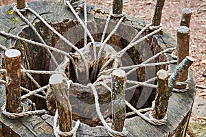 Odd contraption built into tree stump with sticks and rope holding up wood or stone in center of pit