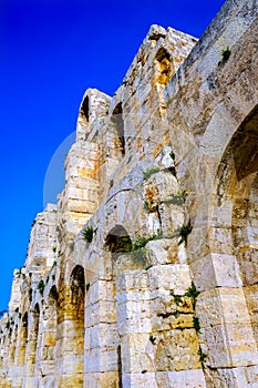 Odeon Herodes Attiacus Yellow Flowers Acropolis Athens Greece