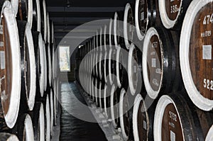 Rows of alcohol barrels in a warehouse of a factory for the production of cognac, whiskey, wine, brandy. Barrel Alcohol