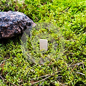 Odin`s Scandinavian rune, empty rune, on wet moss.