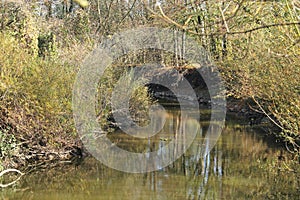 Odra river in autumn