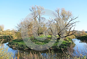 Odra river in autumn