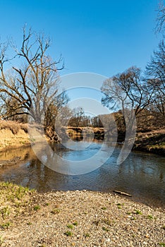 Odra river in early springtime CHKO Poodri in Czech republic