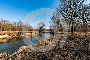Odra river with grass, trees around and clear sky in CHKO Poodri in Czech republic photo