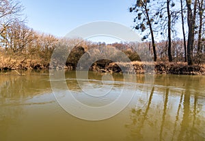 Odra river meander in CHKO Poodri in Czech republic photo