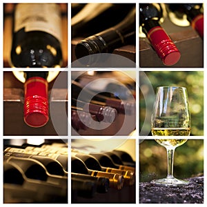 Oenology and wine collage photo