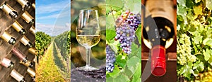 Oenology and wine panoramic photo collage, wine concept